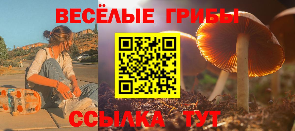 Сланцы  Галлюциногенные грибы мицелий  Вход с VPN 