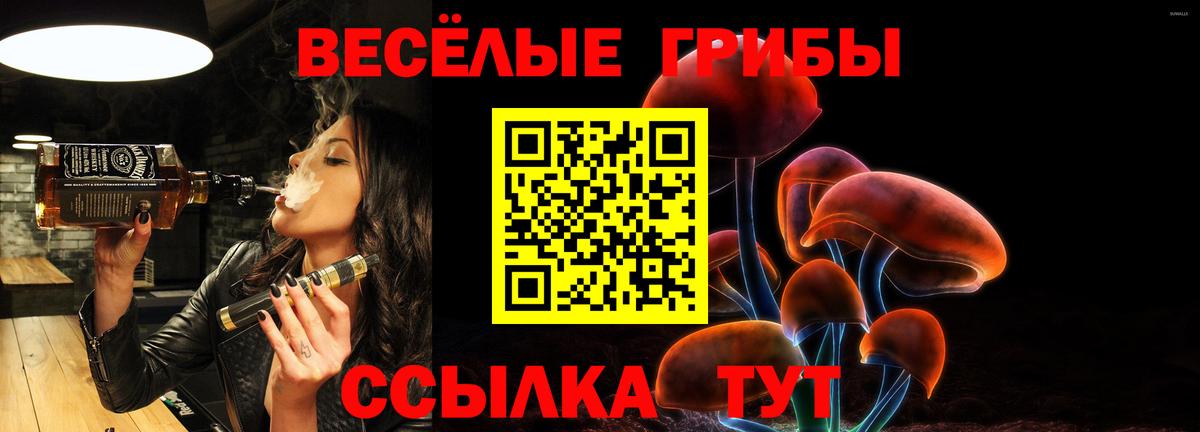 Псилоцибиновые грибы Psilocybine cubensis Сланцы